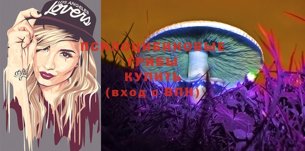 марки lsd Каменка