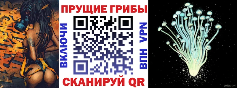 Купить закладки Сосновоборск Галлюциногенные грибы мицелий